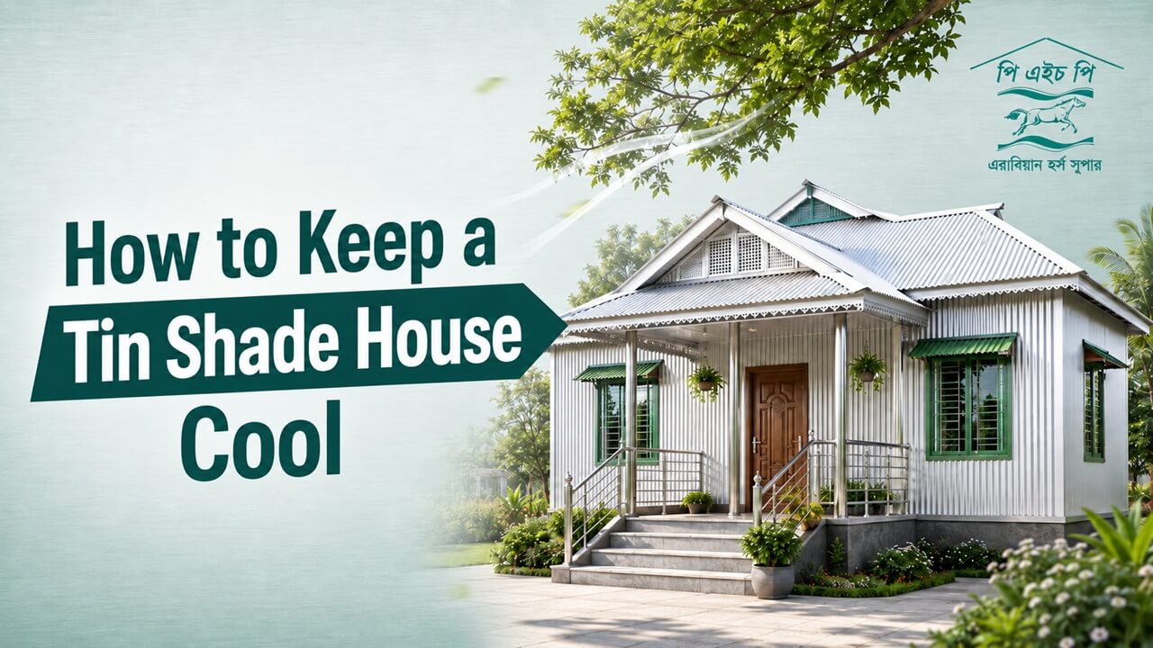 How to Keep a Tin Shade House Cool and Comfortable During Summer