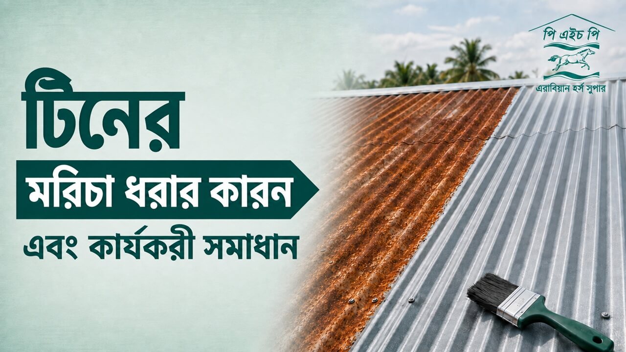 টিনের মরিচা: ৭টি কারণ, প্রতিরোধের উপায় ও কার্যকর সমাধান